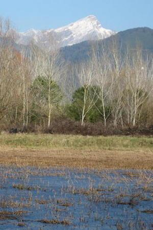 Parco o riserva incerto il futuro del Lago di Porta 