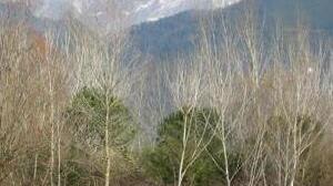 Parco o riserva incerto il futuro del Lago di Porta