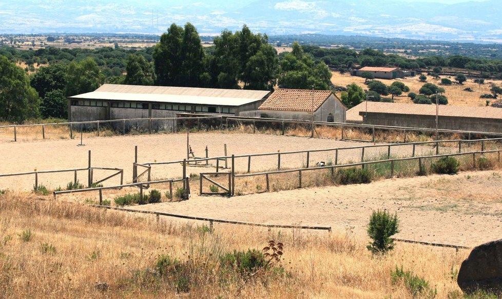 Bortigali, ladri in azione nel centro ippico