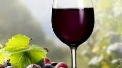Le Cantine Orgosolo scommettono sui vini biologici