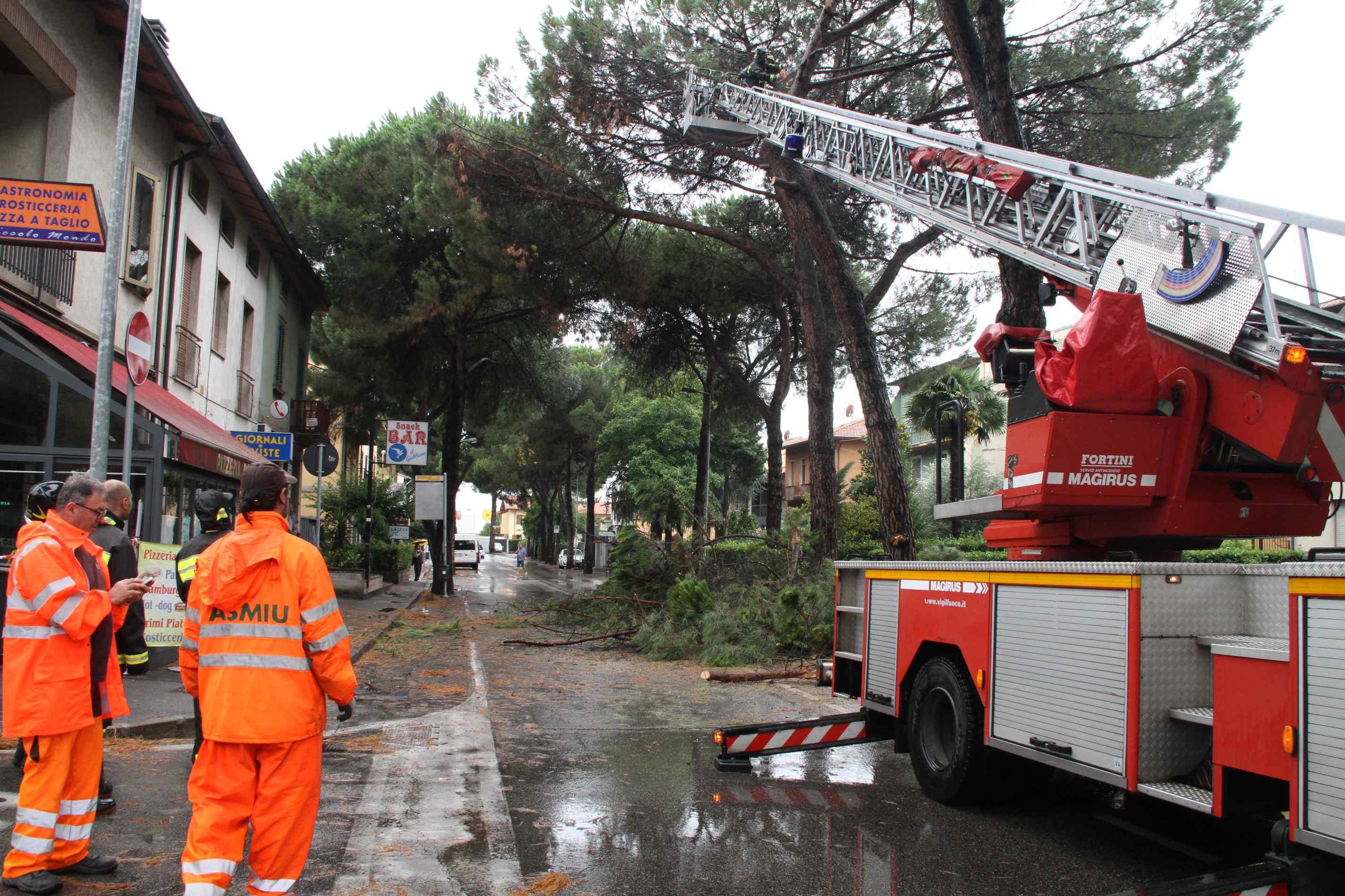 Prato, maltempo, fulmine sul distributore, a rischio un albero in via Roma