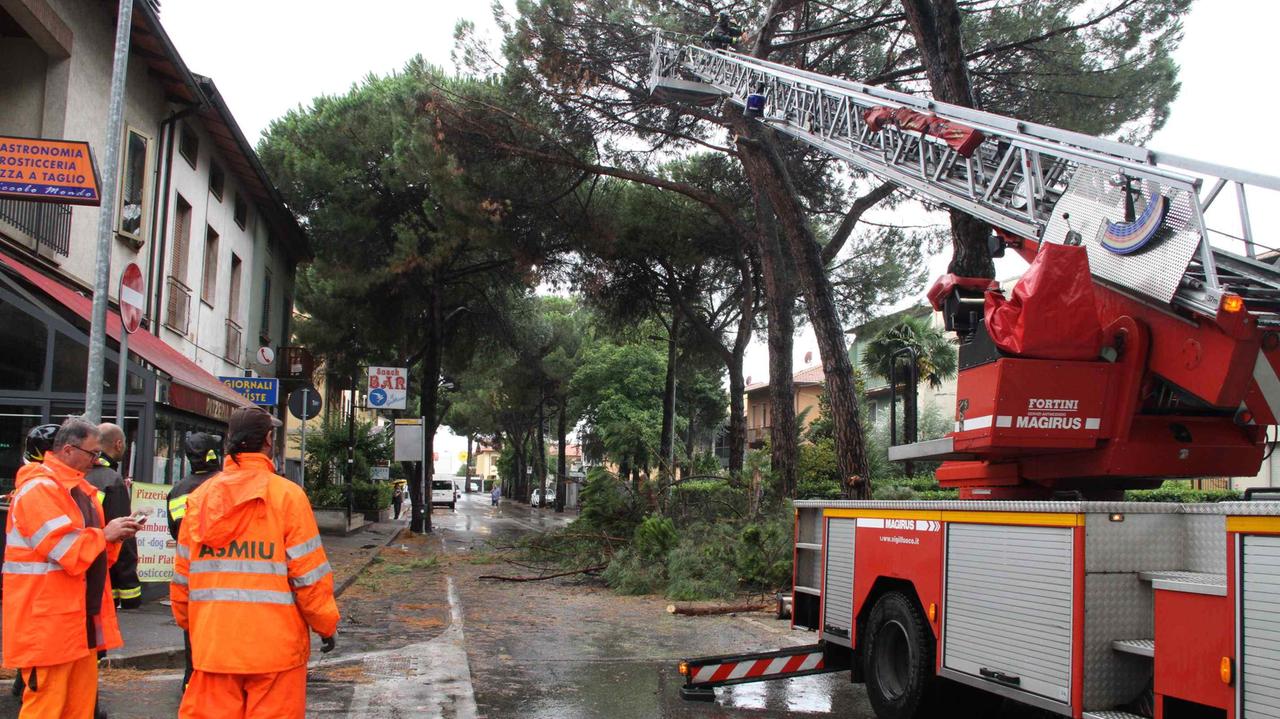 Prato, maltempo, fulmine sul distributore, a rischio un albero in via Roma