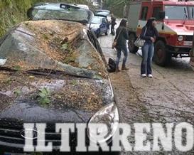 Bomba d’acqua, albero crolla su due auto 