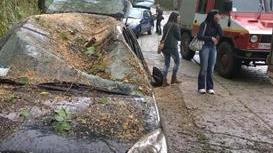 Bomba d’acqua, albero crolla su due auto