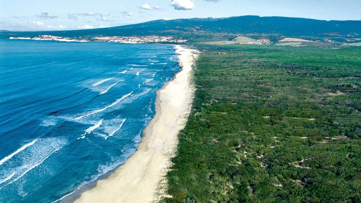La distesa bianca di “Is Arenas”. Il mare, le dune e la grande pineta 