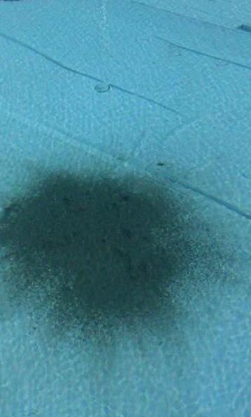 Mettono a soqquadro la piscina 