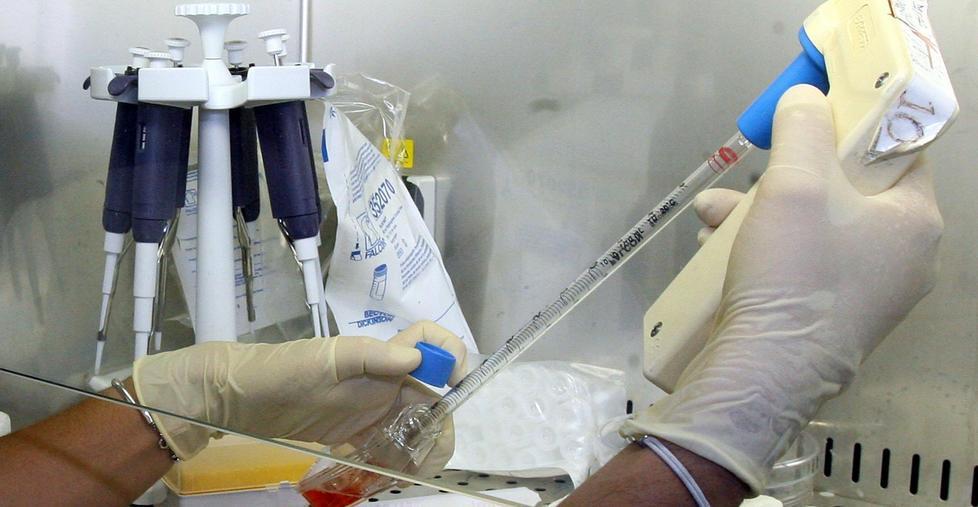 Ematologia record «Tempi dimezzati» 