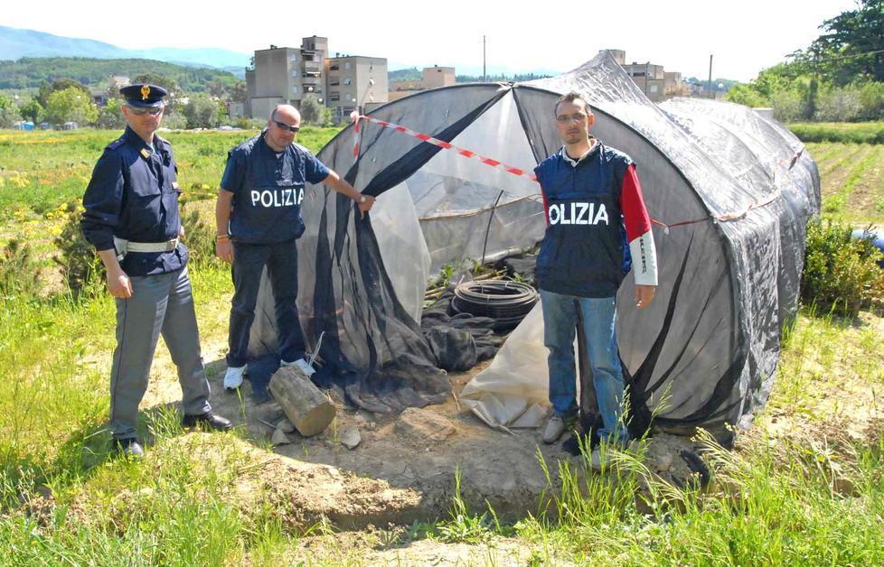 Coldiretti chiede più videocamere contro i furti nei vivai 