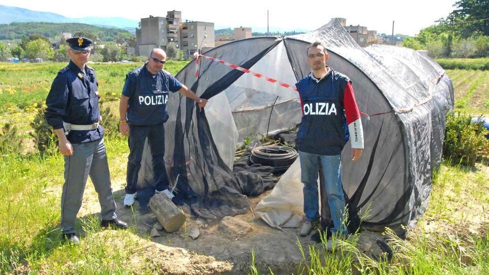 Coldiretti chiede più videocamere contro i furti nei vivai