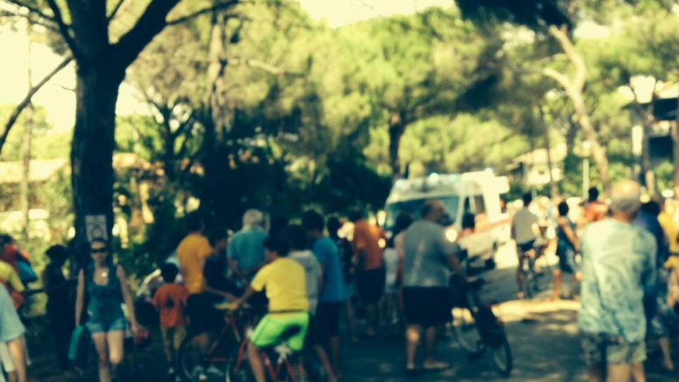 Investito da un capriolo, bambino ricoverato all’ospedale