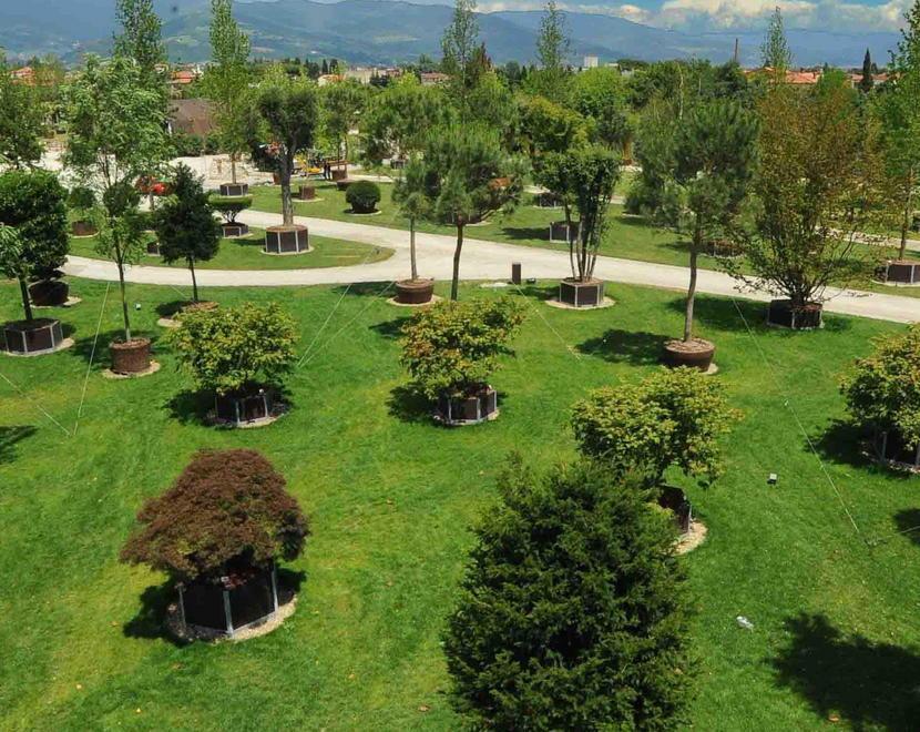 Tre denunciati per il furto al “Nursery park” di Pistoia 