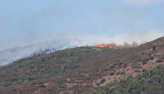 Piromani scatenati a Villaputzu, 40 ettari in cenere 