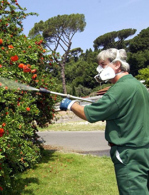Al via gli interventi contro le zanzare 