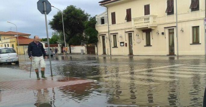 Pino secolare incendiato da un fulmine 