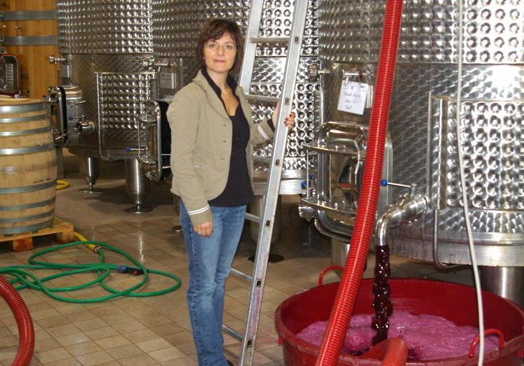 I vini di Le Macchiole seducono gli Stati Uniti 