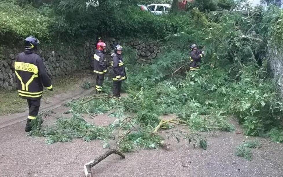 Sradicato dal vento albero si abbatte su due auto in sosta 