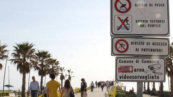 Pontile vietato ai cani una lettrice protesta: «È contro la legge»