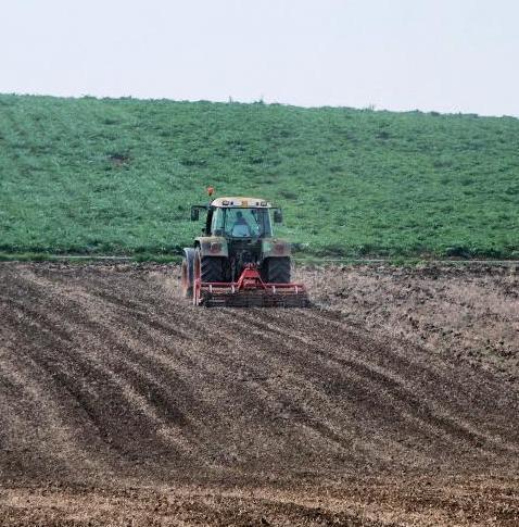 Pesticidi, sventati gravi rischi 