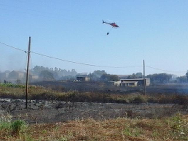 Giovanissimo piromane colto sul fatto dagli agenti forestali