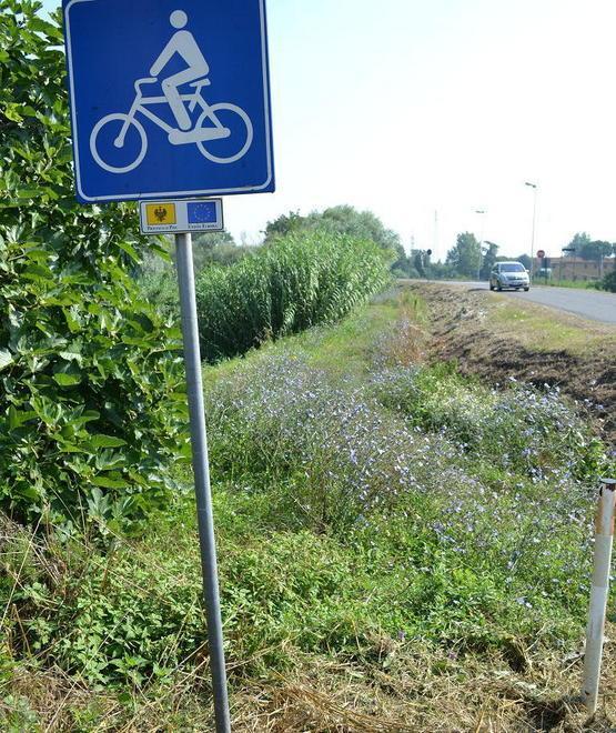 Quant’è dura la vita del ciclista 