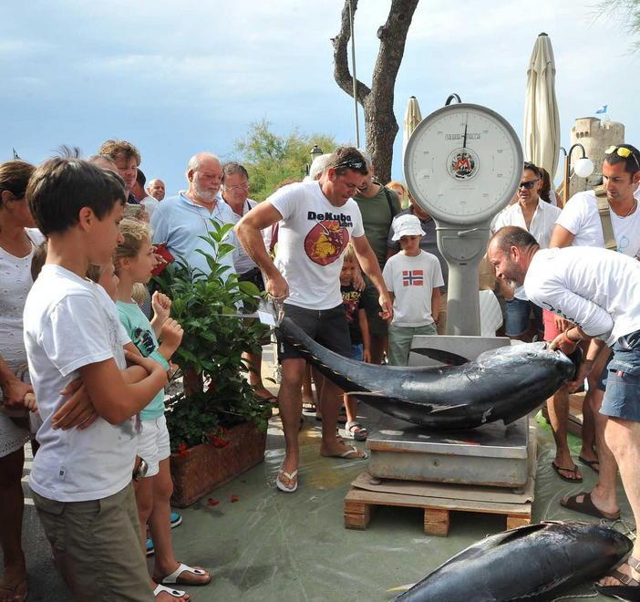 Nel mare elbano lo show della pesca dei tonni 