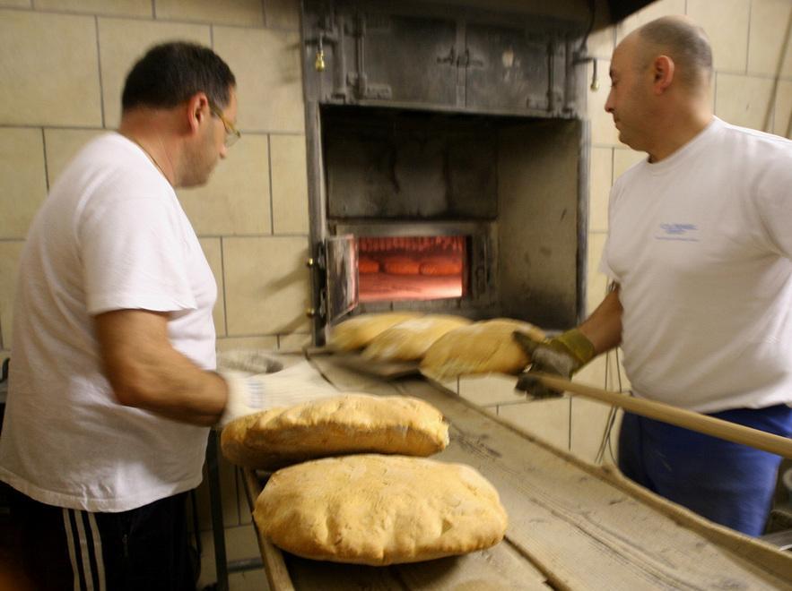 Montescudaio si scopre il borgo dei panificatori 