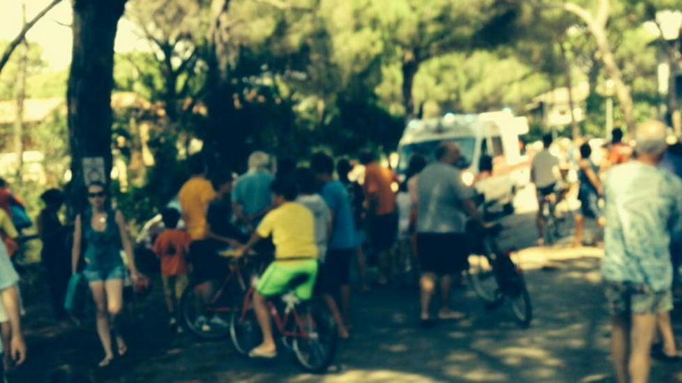 Capriolo travolge bimbo in bici