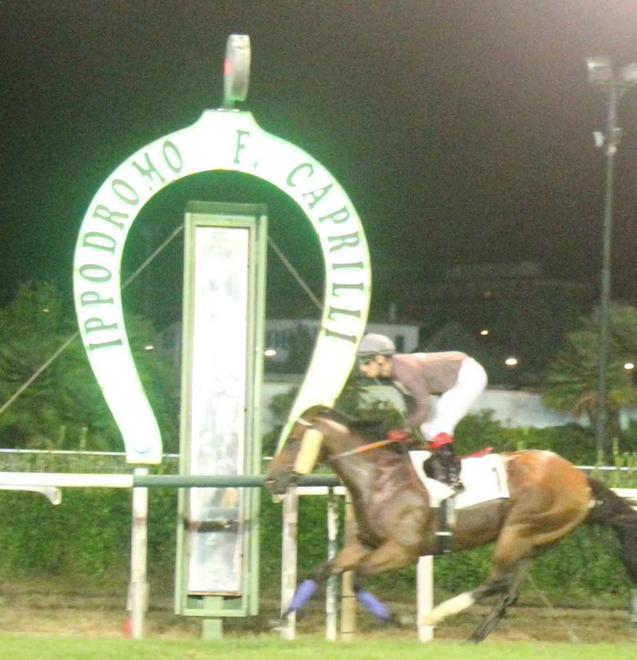 Ippodromo, ok dei commissari partono le corse