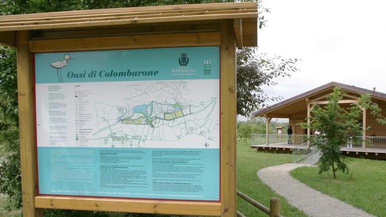 Lavori per salvaguardare l’oasi del Colombarone