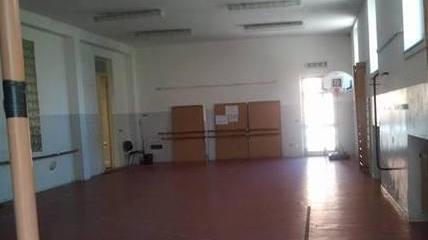 Quasi 600 firme per salvare la palestra della scuola Braschi