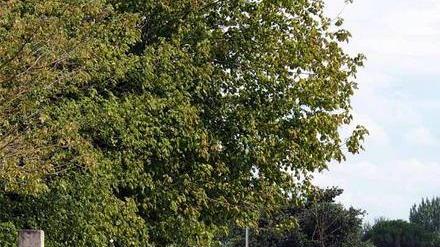 Sciopero e presidio contro gli appalti in un ingrosso