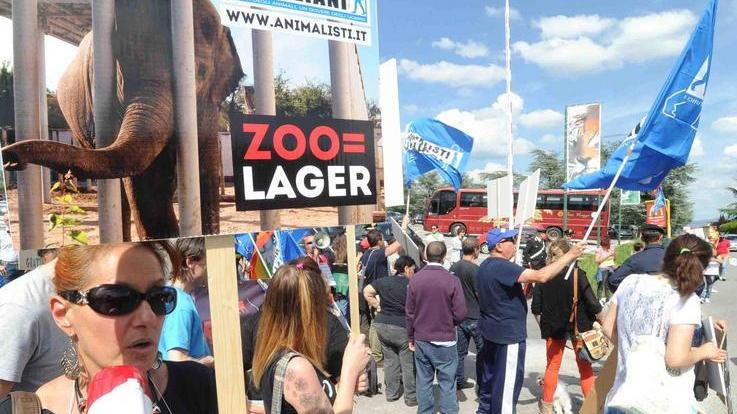Animalisti denunciano lo Zoo
