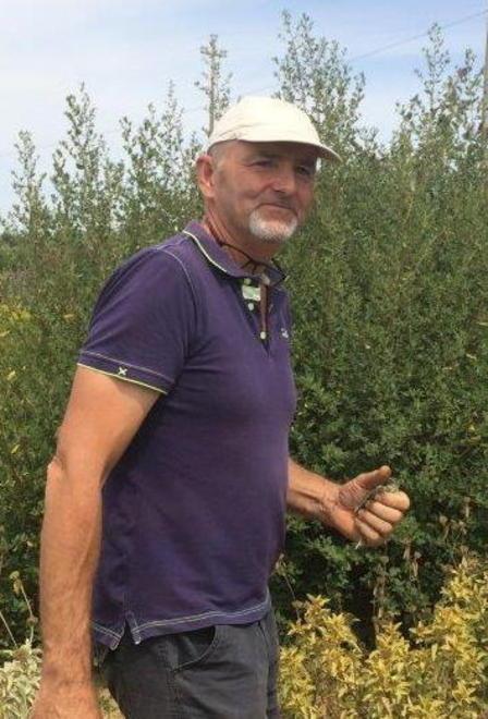 Bello, profumato e tutto “a secco” Il drygarden sta per sbocciare