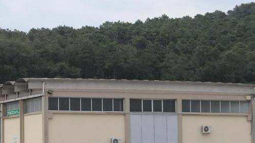 La Toscocarta è salva crescono le speranze per i 29 dipendenti