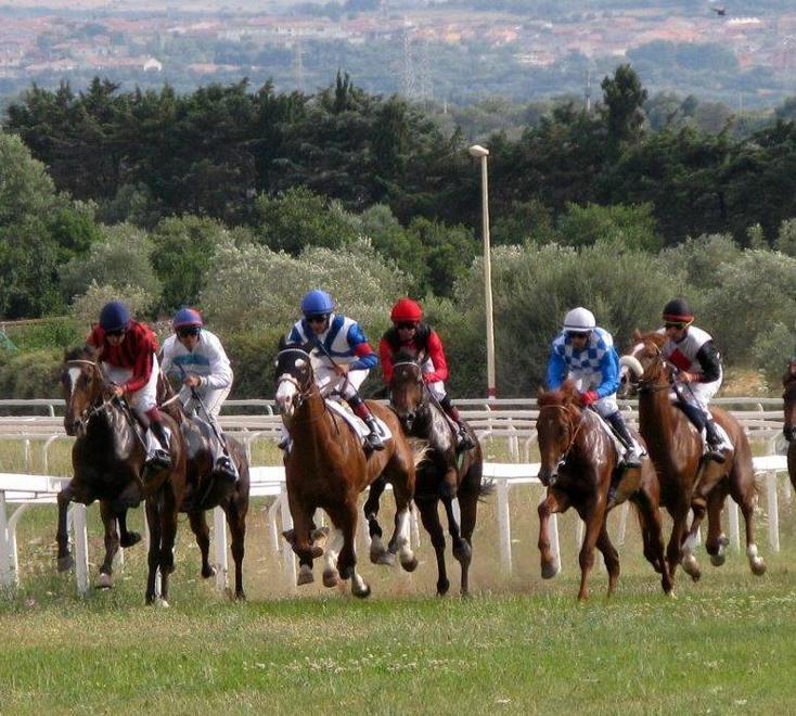 Galoppo in abito da sera oggi all’ippodromo Pinna 