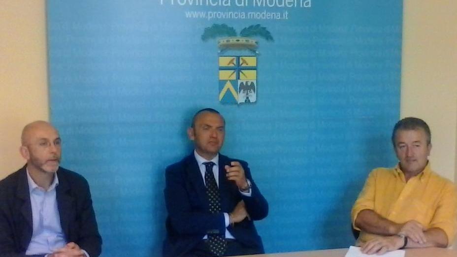 Ciliegie, raccolta record e nuovo disciplinare Igp