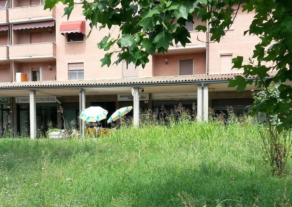 «In via del Campo erba alta 2 metri»