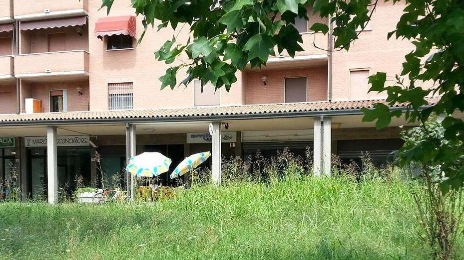 «In via del Campo erba alta 2 metri»