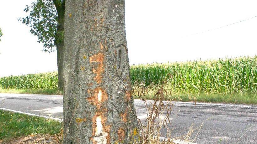 Ancora grave la ragazza di 21 anni finita fuori strada