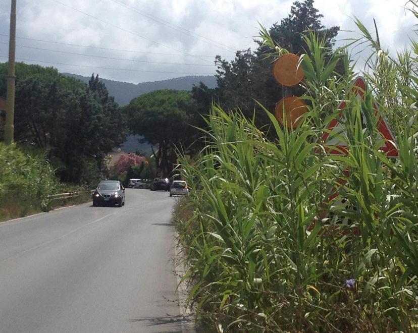 Sfalcio dell’erba sulle strade, il sindaco De Santi diffida la Provincia 