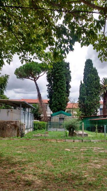 Spazi verdi in sicurezza, attivato un gruppo di lavoro 