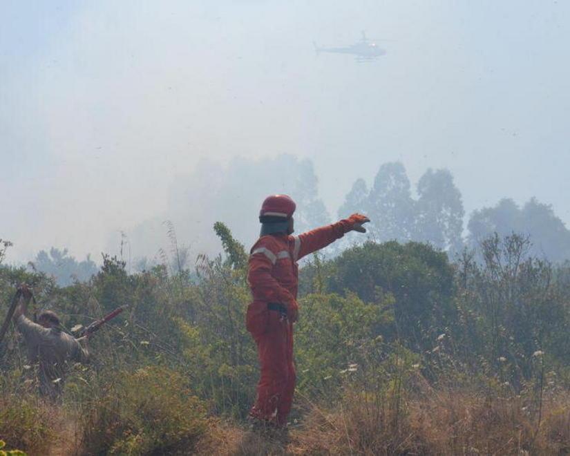 Di nuovo fiamme lungo la panoramica a Castiglione 