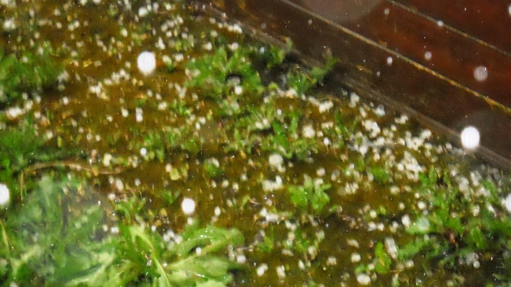 Una grandinata dei mesi scorsi