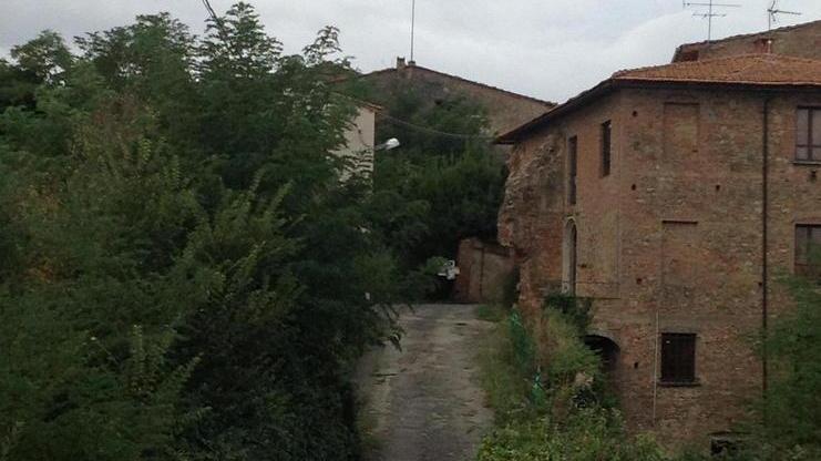 Otto cantieri per 1,3 milioni contro le frane e gli incendi