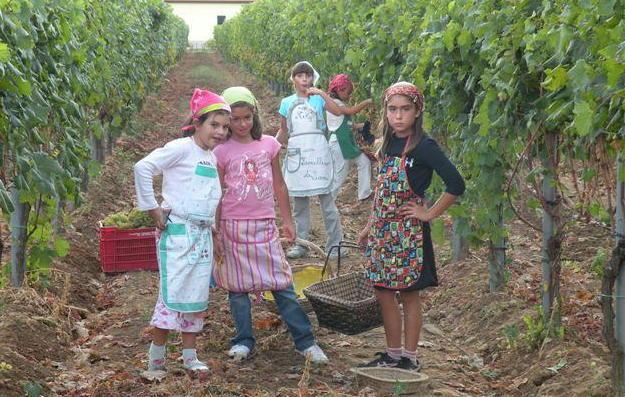 Arte, vino e musica a Ca’ Lunae 