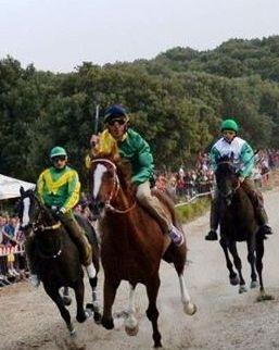 Triplo appuntamento con l’ippica 