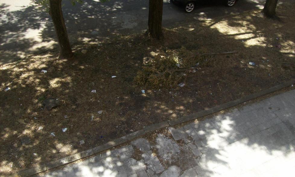 Marciapiedi distrutti dalle radici