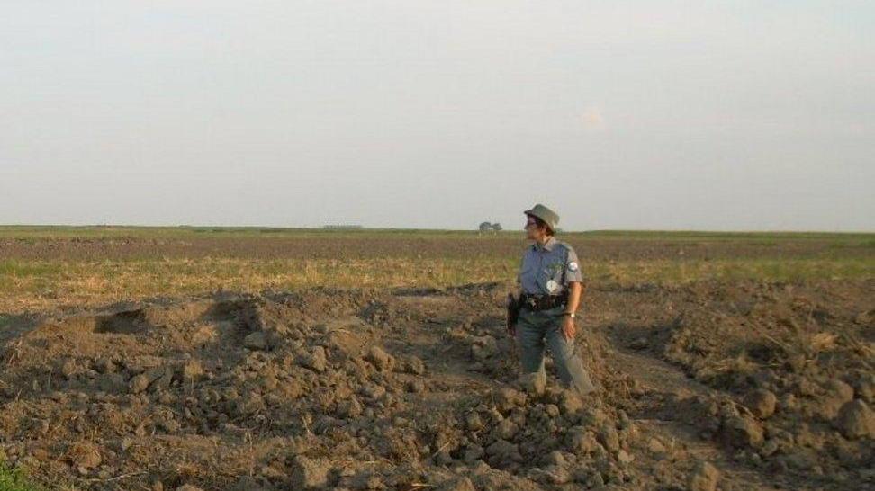 Danno ambientale nel Mezzano Due persone nei guai