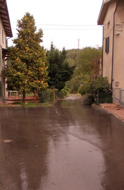 Aggredita da un cane, donna all’ospedale 