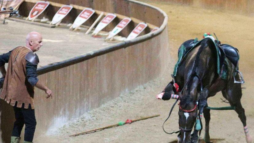 Giostra dell’Orso choc, i presidenti: «Ma non siamo macellai»